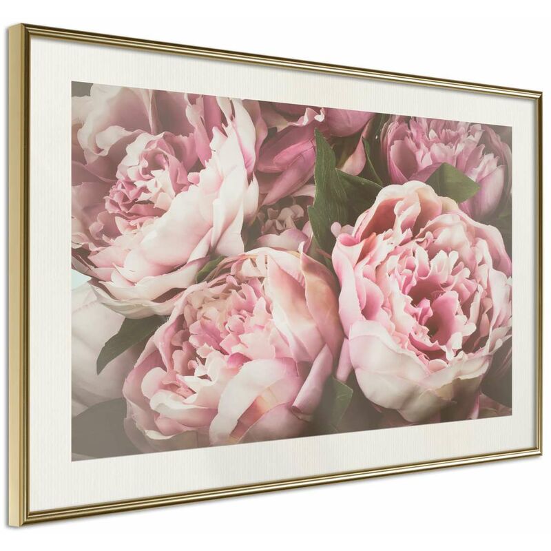 

Rtgs - Póster - Pastel Peonies Medidas 90X60