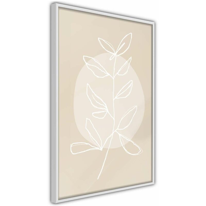 

Rtgs - Póster - Pastel Plant Medidas 40X60