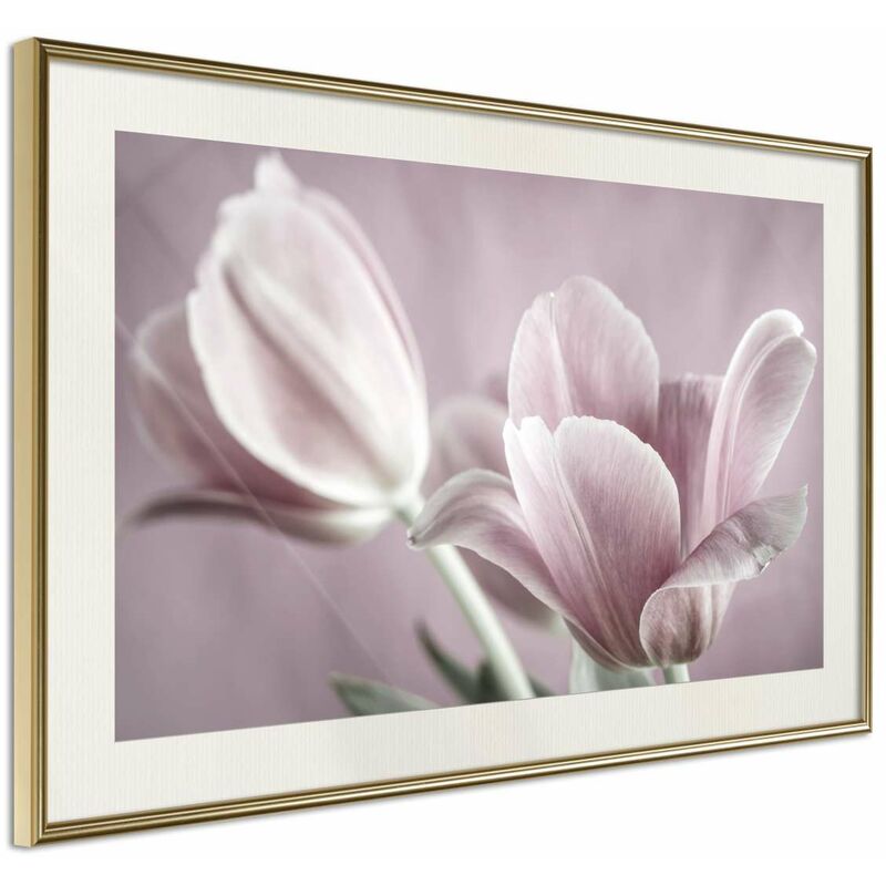 

Rtgs - Póster - Pastel Tulips I Medidas 30X20