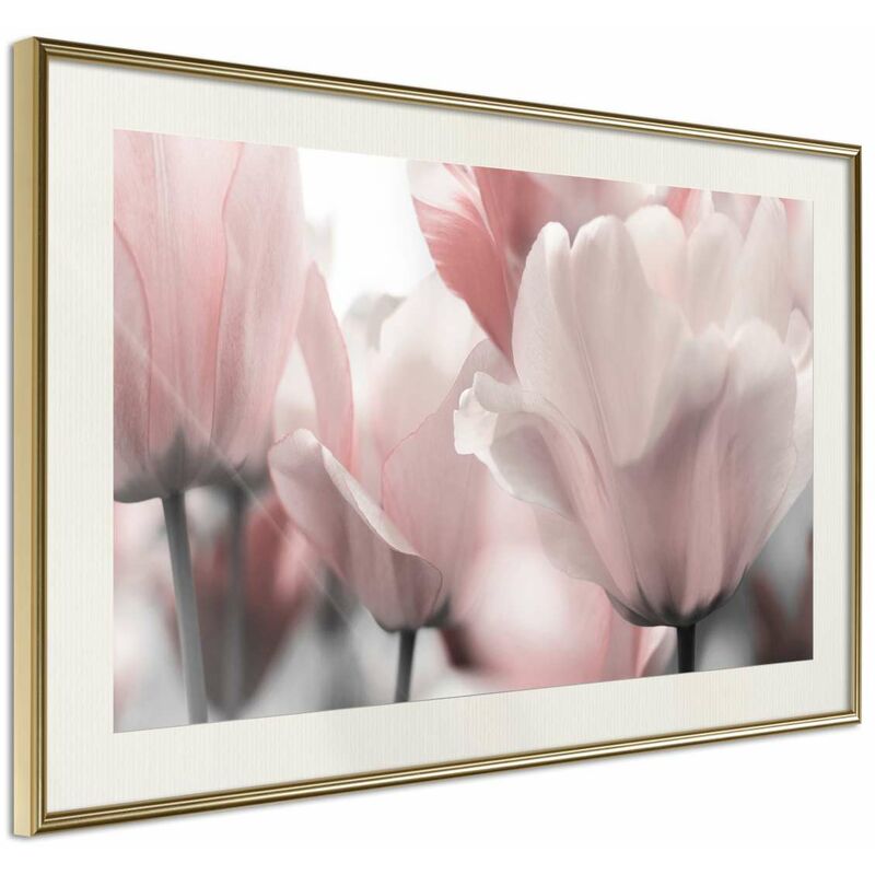 

Rtgs - Póster - Pastel Tulips II Medidas 60X40