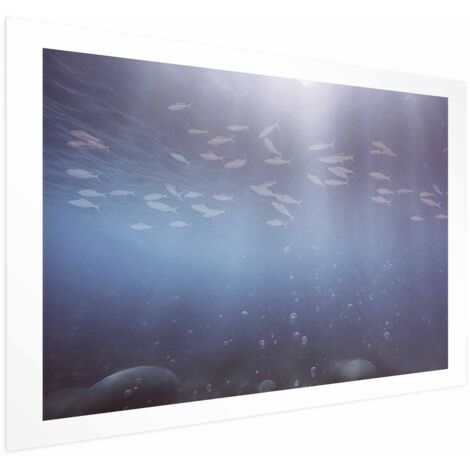 Póster - Peces en las profundidades