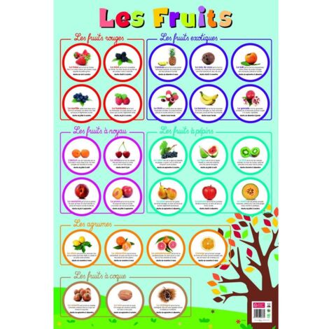 Poster pédagogique - Fruits - 52 x 76 cm - Livraison gratuite