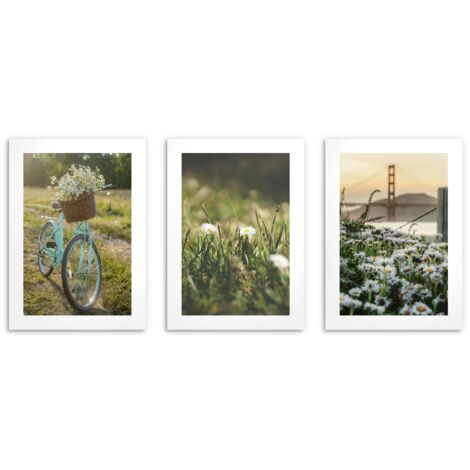 Poster per la parete del soggiorno, fiori, primavera, 3x30x40cm