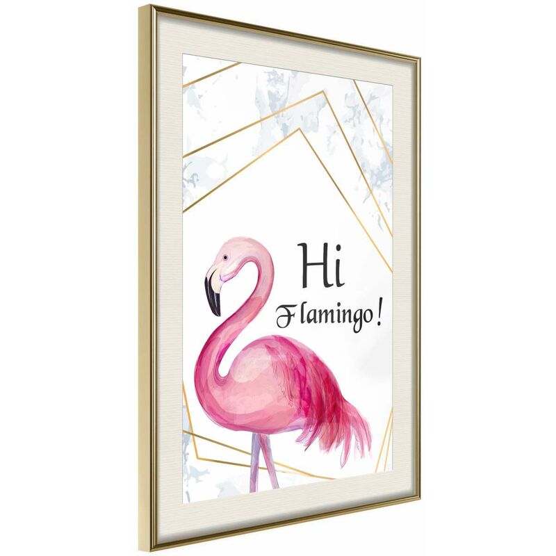 

Póster - Pink Visitor Medidas 40X60