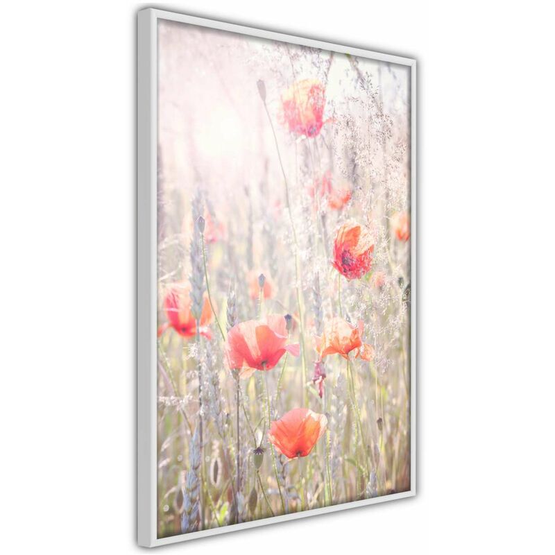 

Rtgs - Póster - Poppies Medidas 20X30