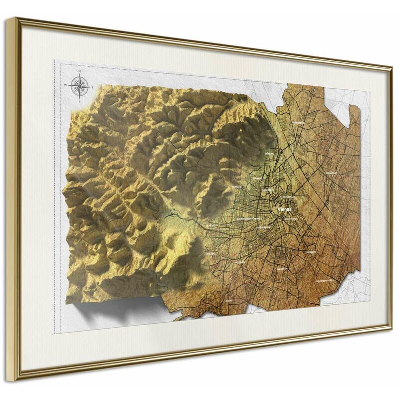 

Póster - Raised Relief Map: Vienna Medidas 60X40