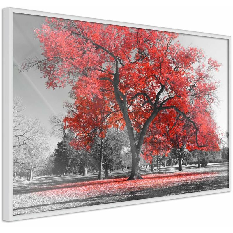 

Rtgs - Póster - Red Tree Medidas 30X20