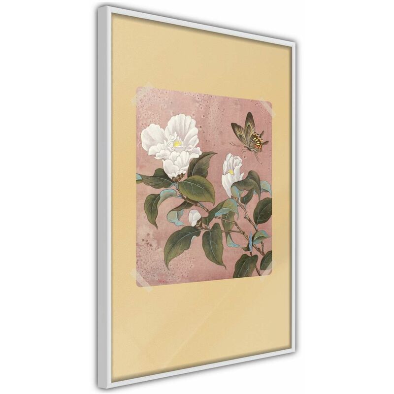 

Póster - Rhododendron and Butterfly Medidas 40X60