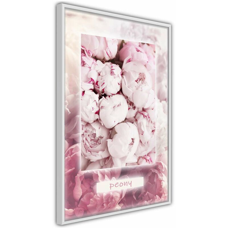 

Rtgs - Póster - Scent of Peonies Medidas 40X60