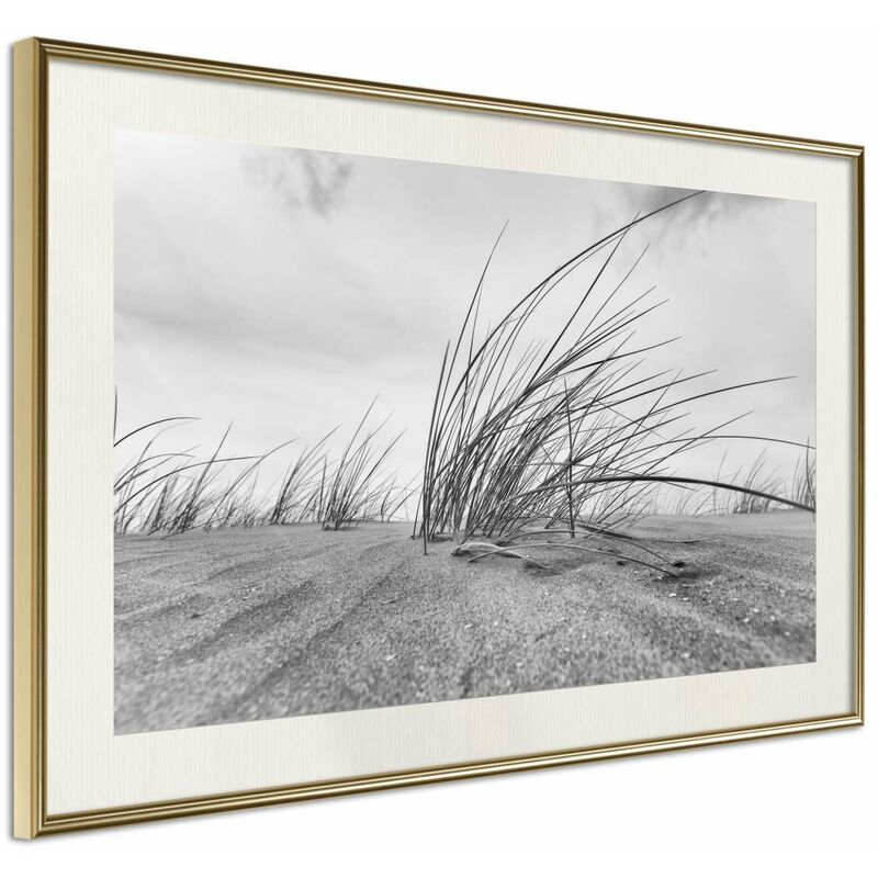 

Rtgs - Póster - Seaside Dunes Medidas 30X20