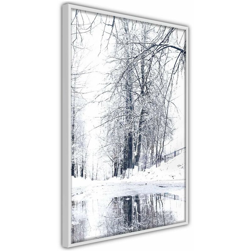 

Póster - Snowy Park Medidas 20X30