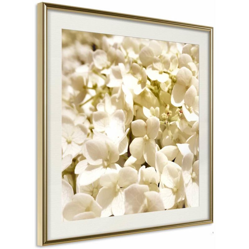 

Rtgs - Póster - Soothing Flowers Medidas 30X30
