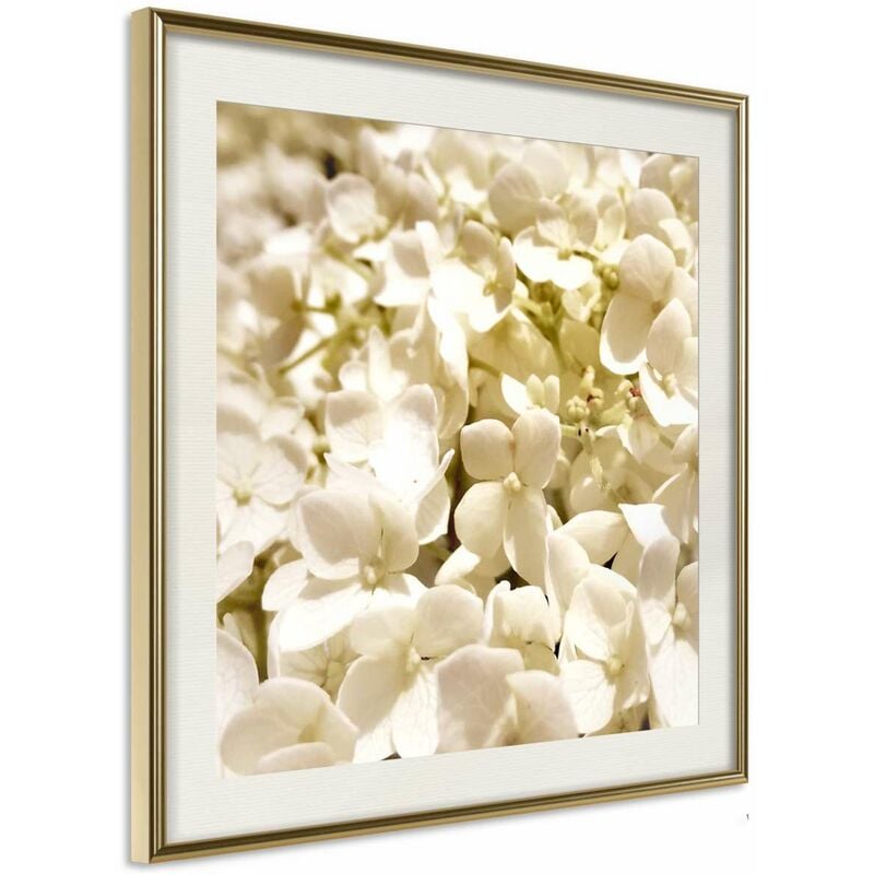 

Rtgs - Póster - Soothing Flowers Medidas 30X30