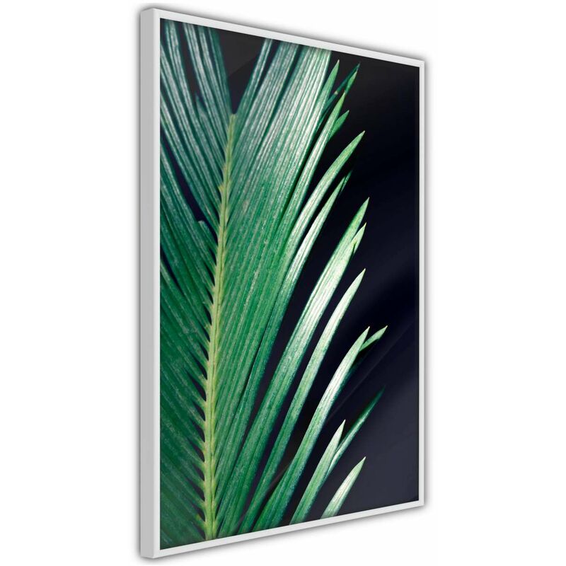 

Rtgs - Póster - Soothing Green Medidas 30X45