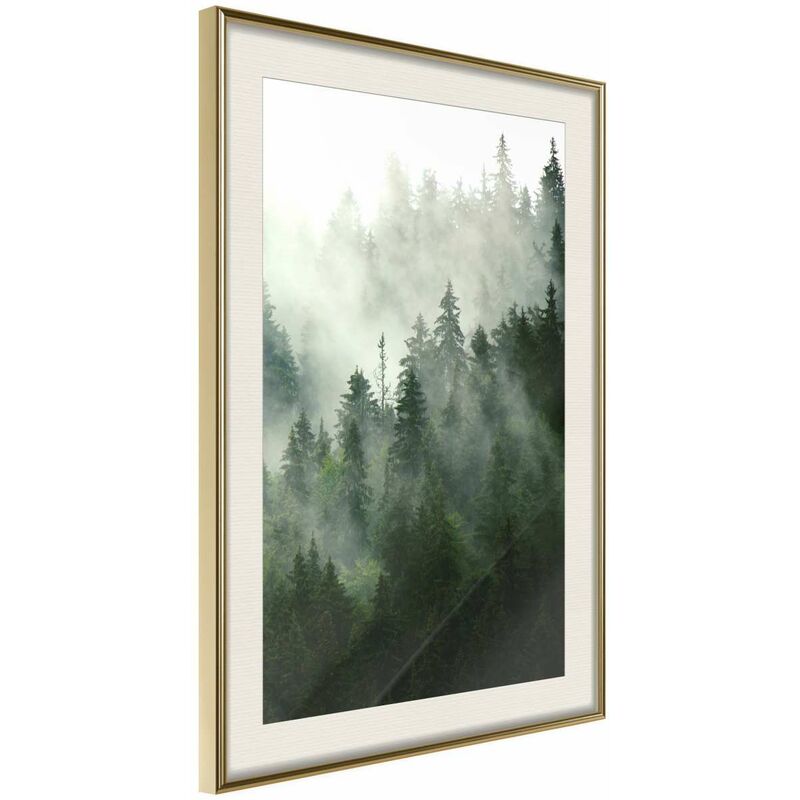 

Rtgs - Póster - Steaming Forest Medidas 30X45