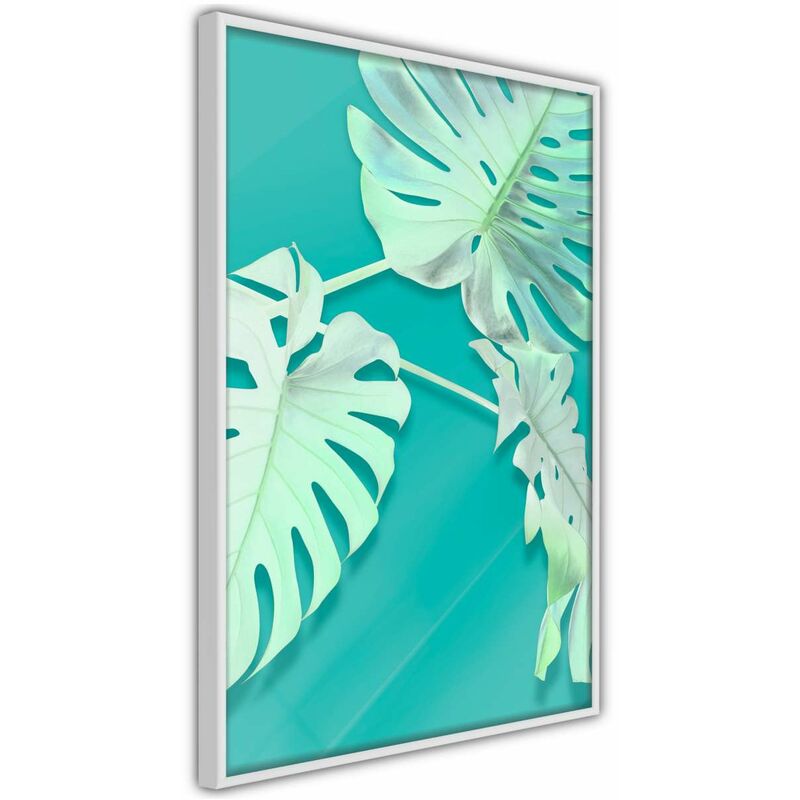 

Rtgs - Póster - Teal Monstera Medidas 40X60