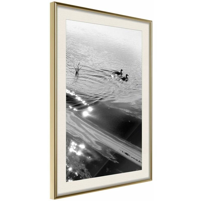 

Rtgs - Póster - Texture of Water Medidas 40X60