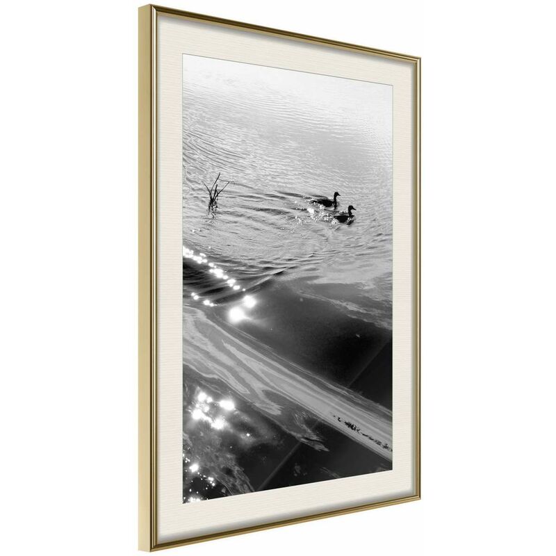 

Rtgs - Póster - Texture of Water Medidas 20X30