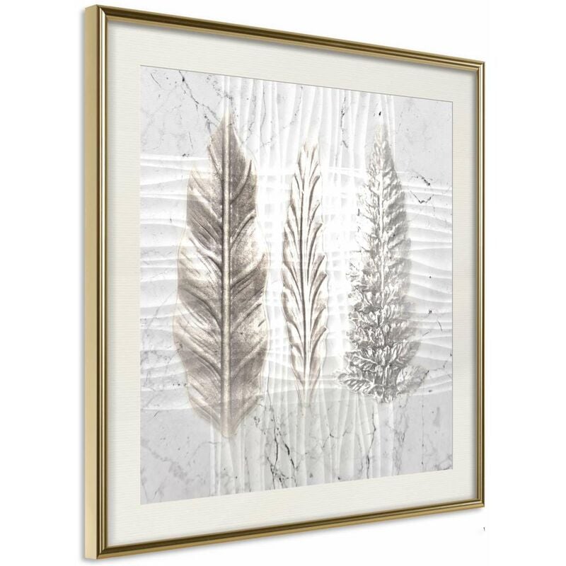 

Rtgs - Póster - Three Species Medidas 30X30
