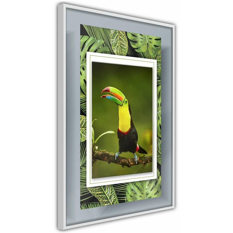 

Rtgs - Póster - Toucan in the Frame Medidas 40X60