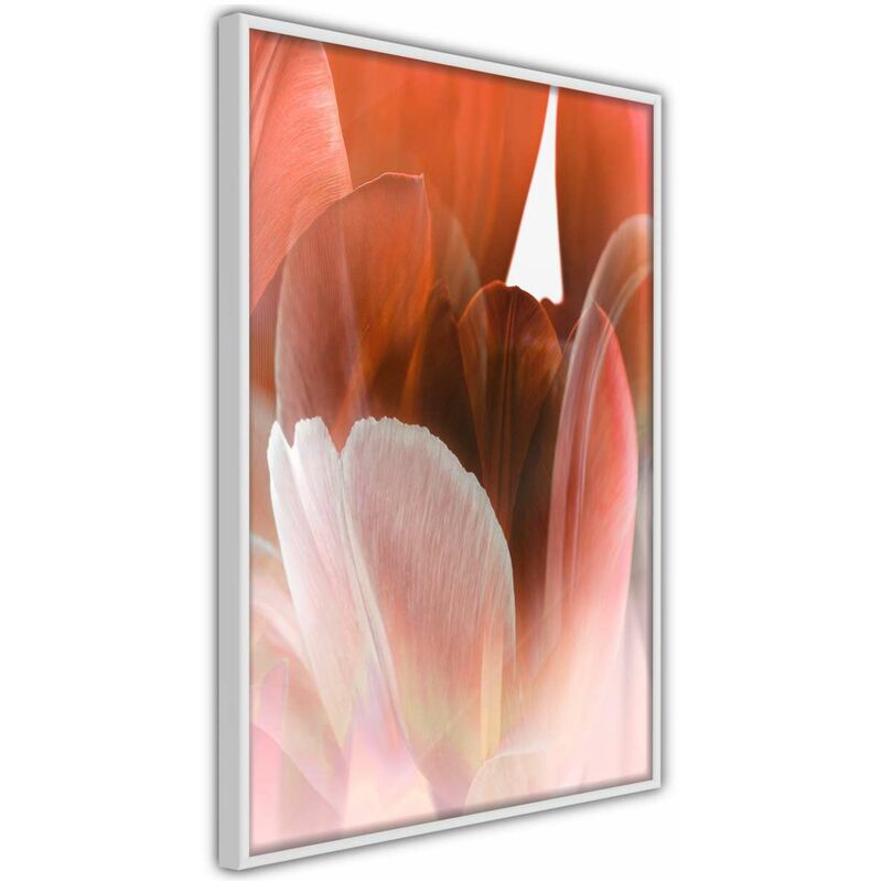 

Rtgs - Póster - Tulip Petals Medidas 40X60