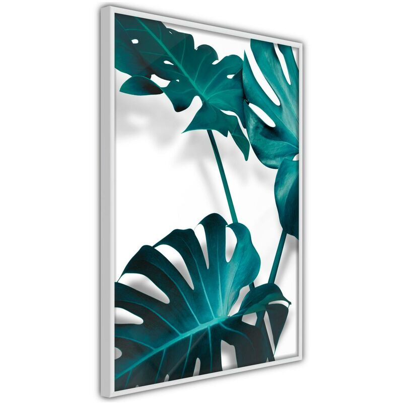 

Póster - Turquoise Monstera II Medidas 30X45