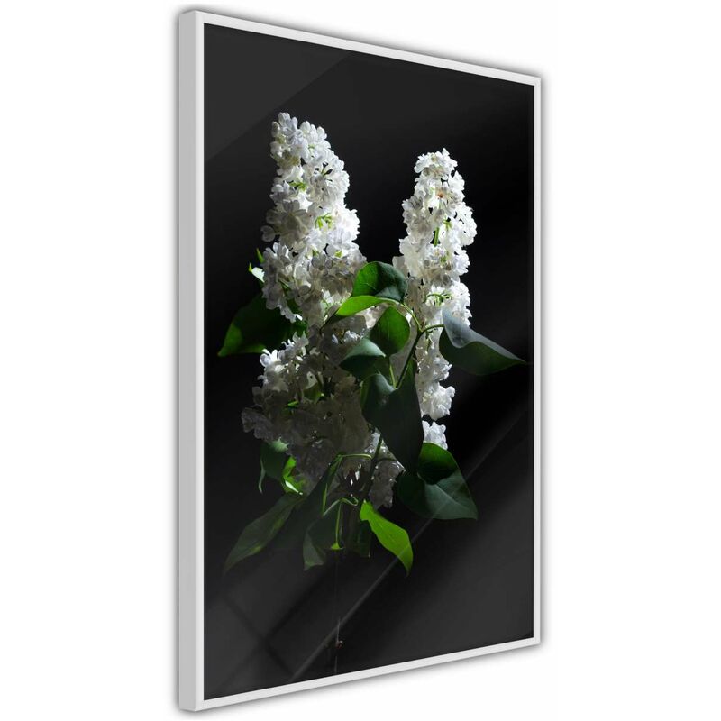 

Rtgs - Póster - White Lilac Medidas 30X45