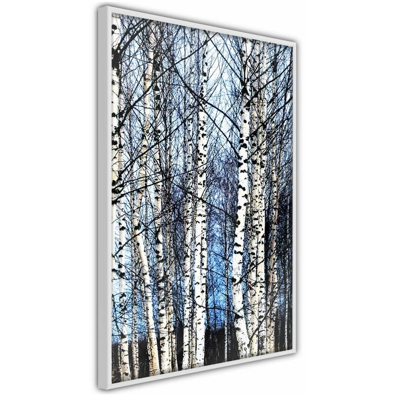 

Rtgs - Póster - Winter Birch Trees Medidas 40X60