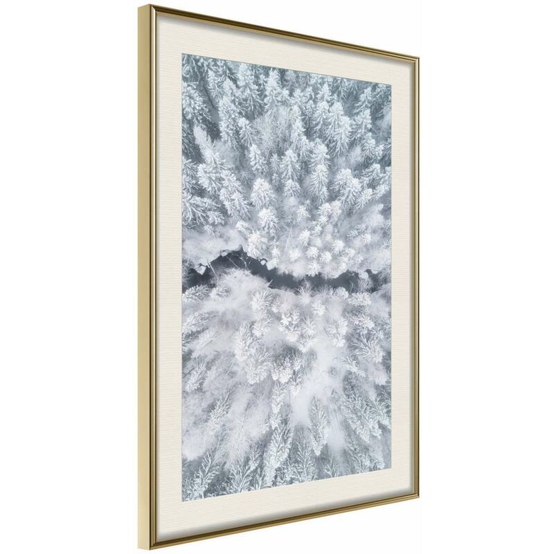 

Rtgs - Póster - Winter Forest From a Bird's Eye View Medidas 40X60