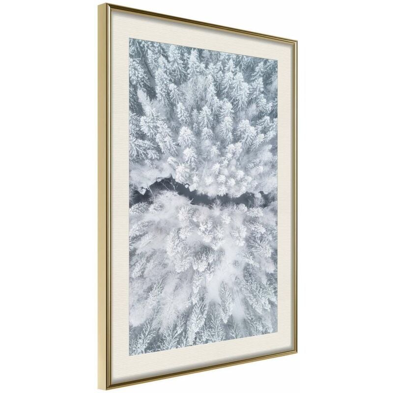 

Rtgs - Póster - Winter Forest From a Bird's Eye View Medidas 30X45