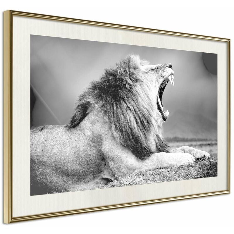 

Rtgs - Póster - Yawning Lion Medidas 45X30