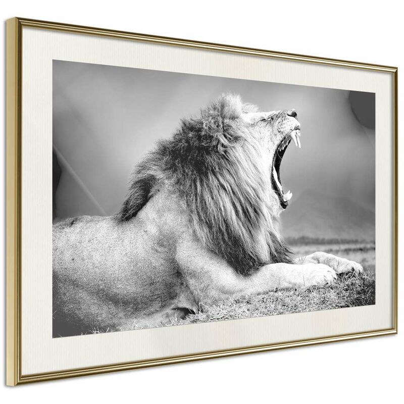 

Rtgs - Póster - Yawning Lion Medidas 30X20