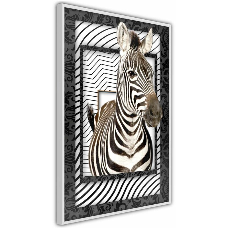 

Rtgs - Póster - Zebra in the Frame Medidas 40X60