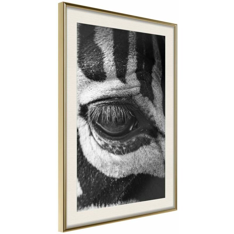 

Rtgs - Póster - Zebra Is Watching You Medidas 40X60