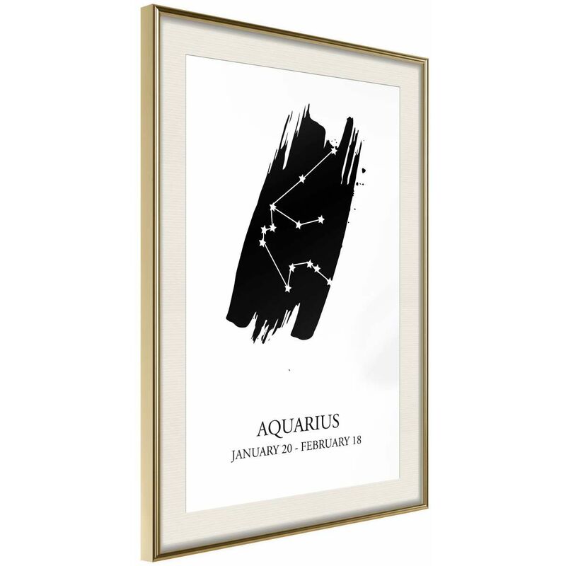 

Rtgs - Póster - Zodiac: Aquarius I Medidas 40X60