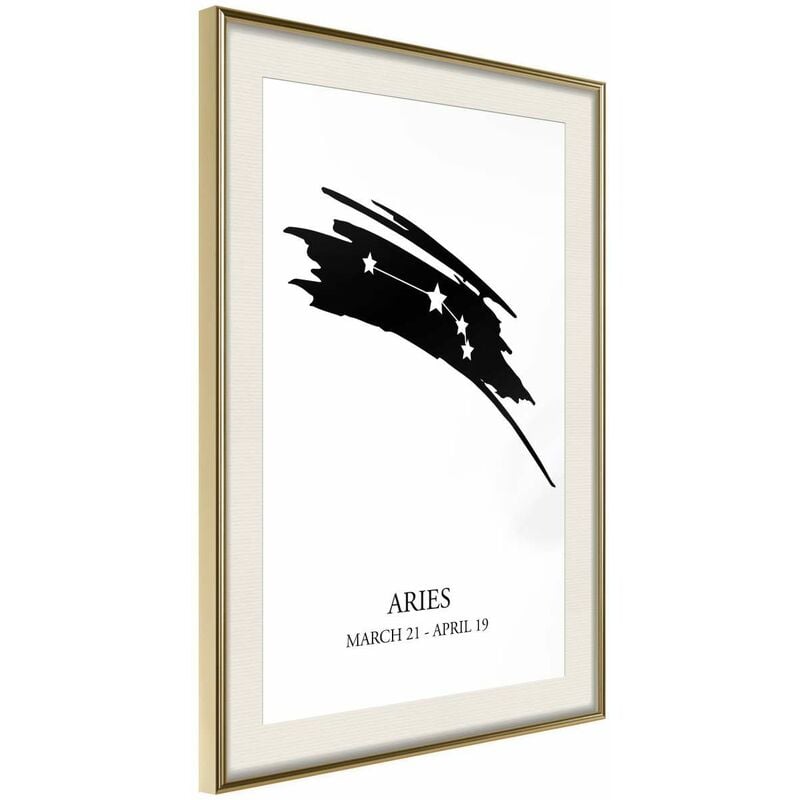 

Rtgs - Póster - Zodiac: Aries I Medidas 20X30