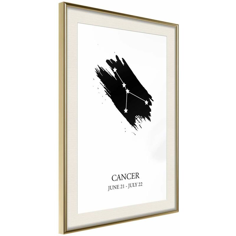 

Rtgs - Póster - Zodiac: Cancer I Medidas 30X45