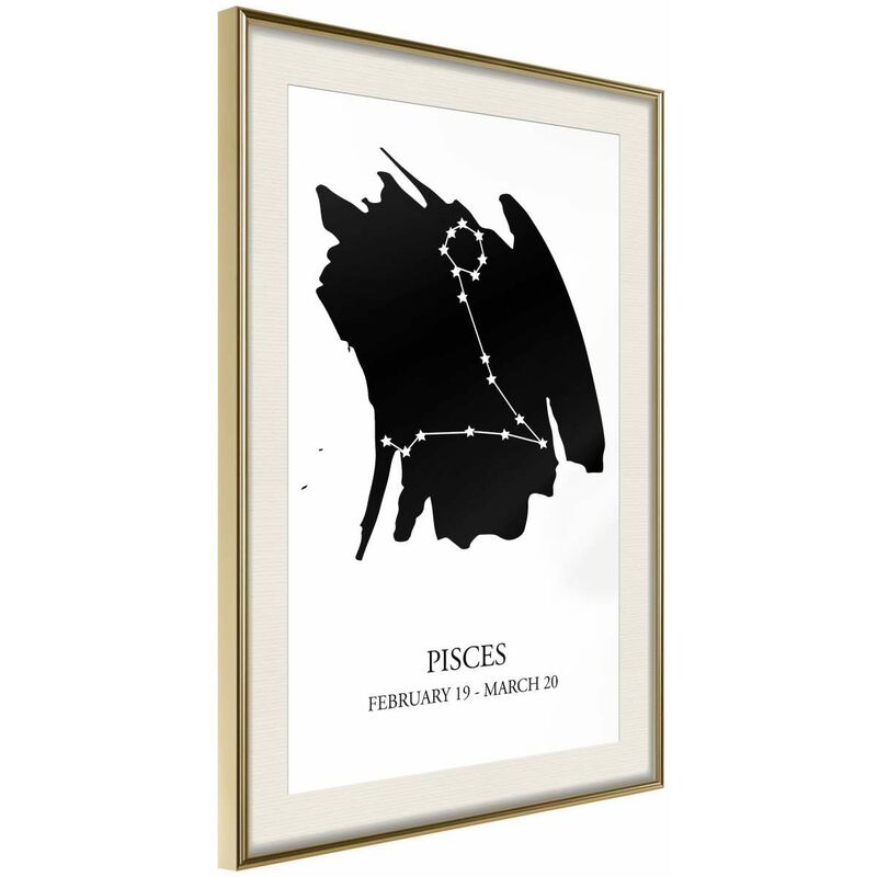 

Rtgs - Póster - Zodiac: Pisces I Medidas 40X60