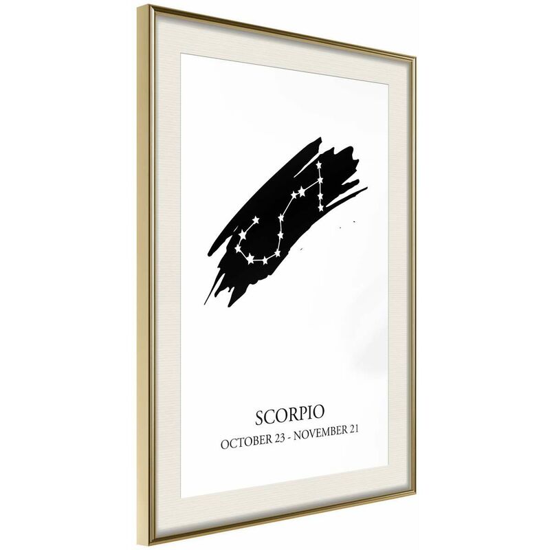 

Rtgs - Póster - Zodiac: Scorpio I Medidas 40X60