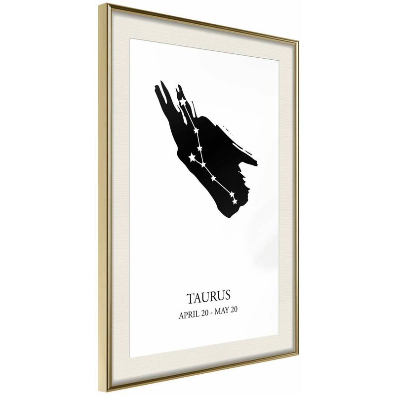 

Póster - Zodiac: Taurus I Medidas 30X45