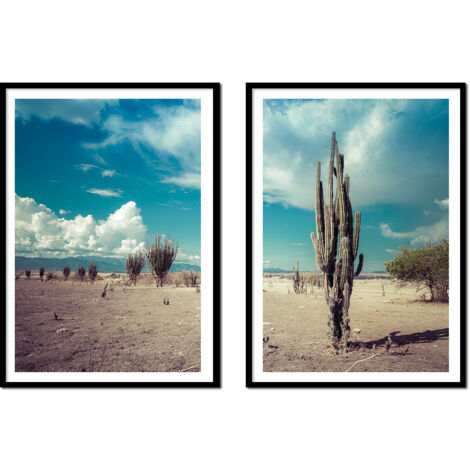 POSTERS CON FOTOS EN MARCO 53x73cm Díptico Conjunto de 2 cuadros Cacti Boho P2150