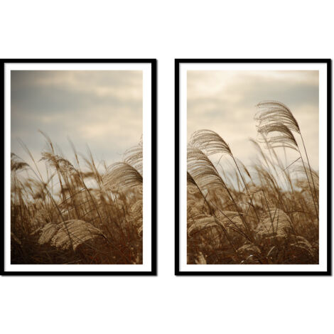 POSTERS CON FOTOS EN MARCO 53x73cm Díptico Conjunto de 2 cuadros Hierba Beige Boho P2178