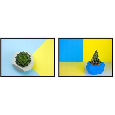 PÓSTERS CON FOTOS EN MARCO 53x73cm Díptico Conjunto de 2 cuadros Ucrania Suculenta P817