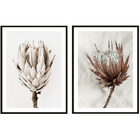 Pósters con imágenes enmarcadas 53 x 73 cm Díptico Conjunto de 2 Flores Boho P2080