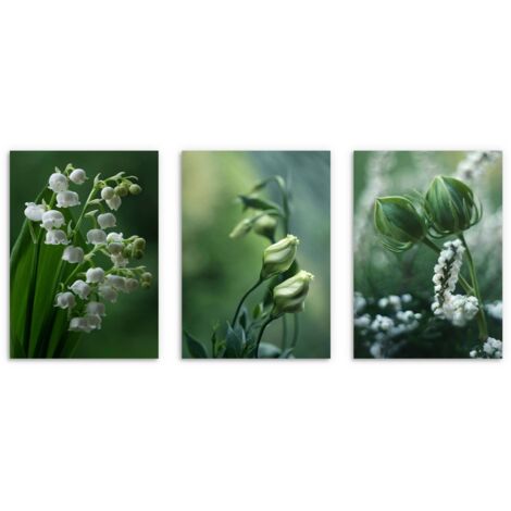 Pósters de pared modernos para salón Flores capullos lirios del valle 3x 30x40cm