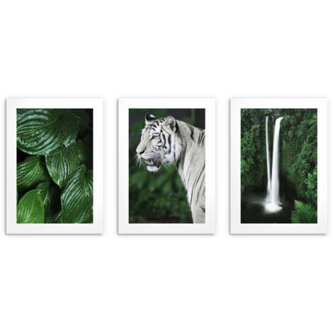 Pósters para el dormitorio, pósters de pared para el salón Naturaleza jungla 3x 30x40cm
