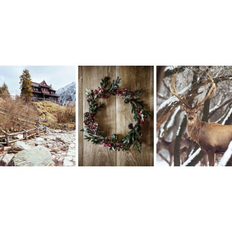 Pósters para la pared del dormitorio Vacaciones navideñas Invierno Ciervos 3x 50x70