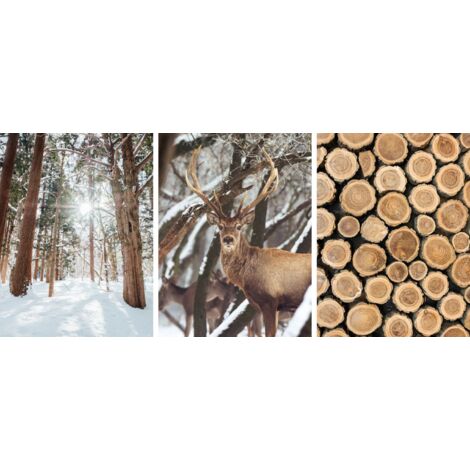 Pósters para la pared del salón Ambiente invernal Bosque Madera Ciervo 3x 50x70