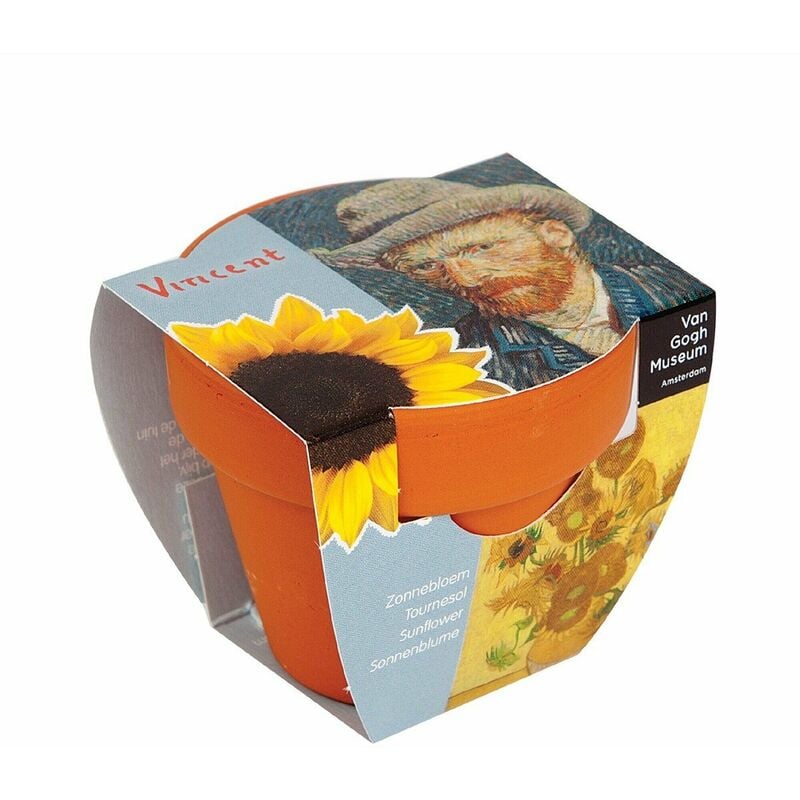Astuceo - Pot à semis pour tournesol Van Gogh - Lot de 2 - Marron