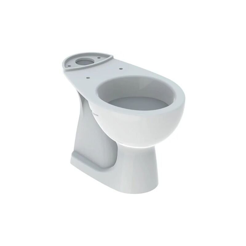 Pot au sol 36x62.5 monobloc blanc brillant Geberit Colibrì - Senza coprivaso